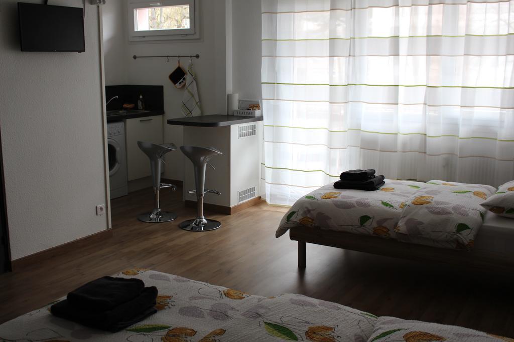 Studios Near Basel Airport Сен-Луи Экстерьер фото