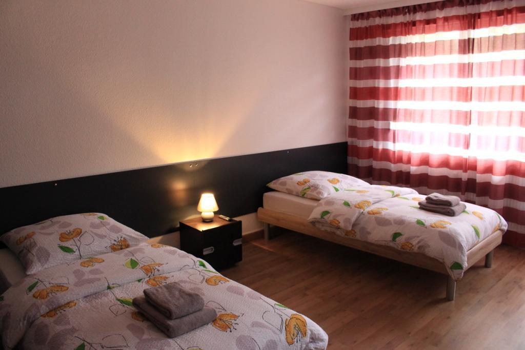 Studios Near Basel Airport Сен-Луи Экстерьер фото