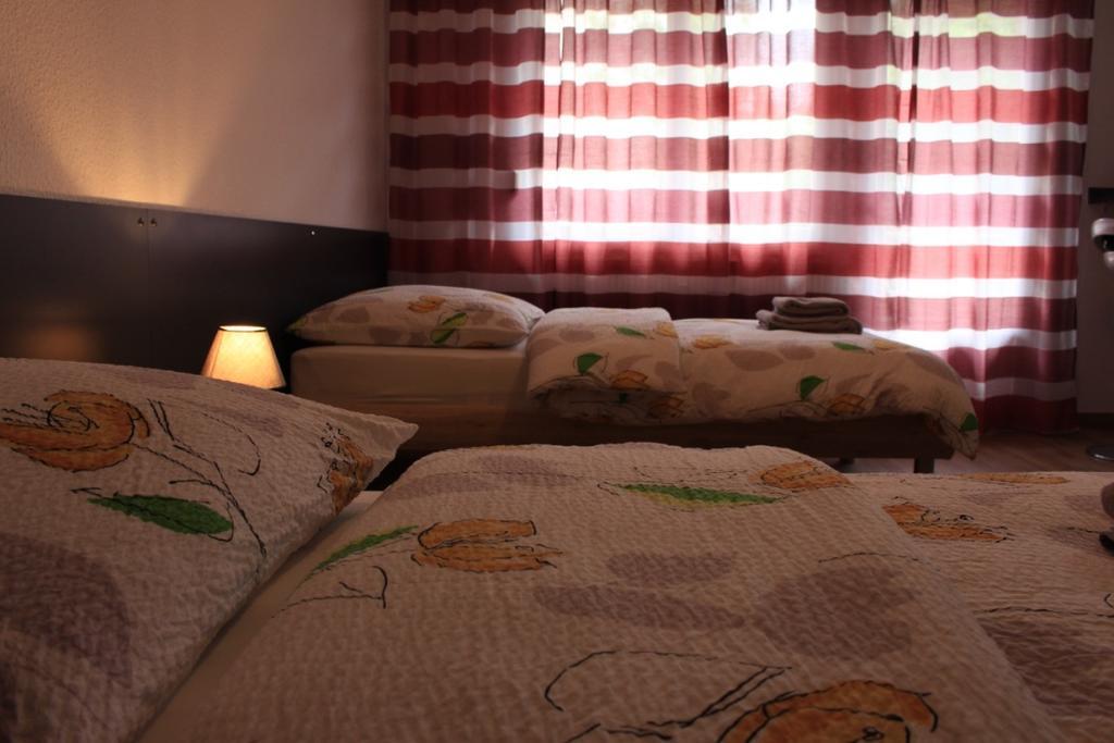 Studios Near Basel Airport Сен-Луи Экстерьер фото