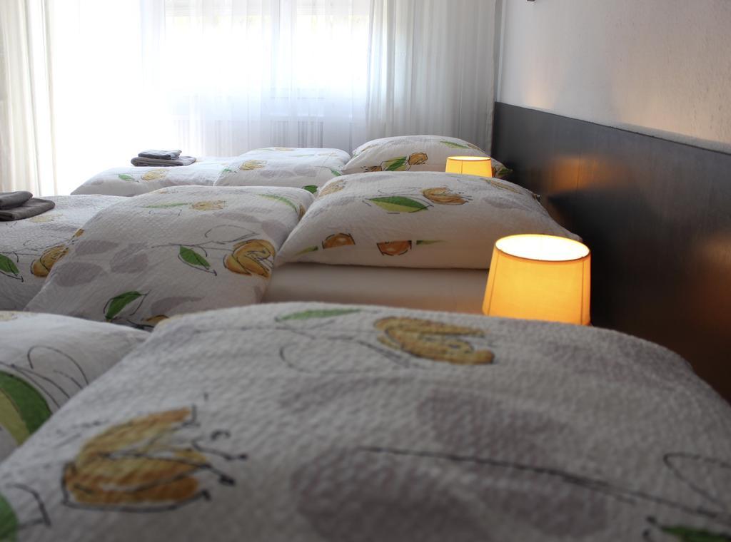 Studios Near Basel Airport Сен-Луи Экстерьер фото
