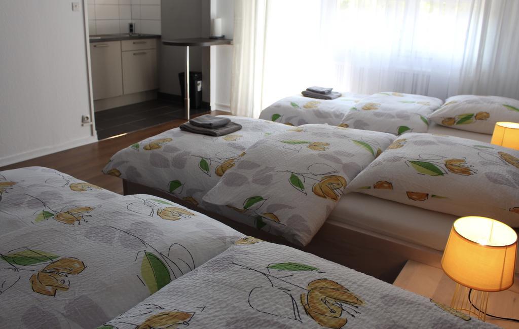 Studios Near Basel Airport Сен-Луи Экстерьер фото
