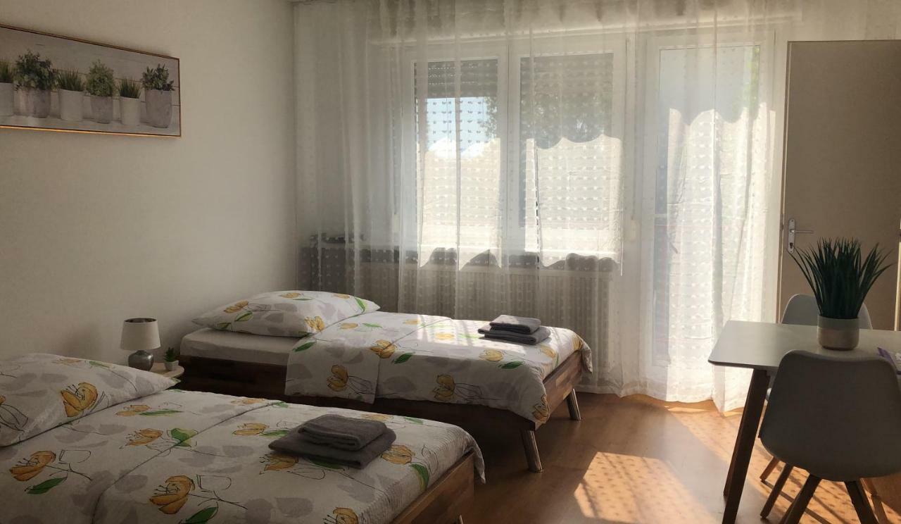 Studios Near Basel Airport Сен-Луи Экстерьер фото