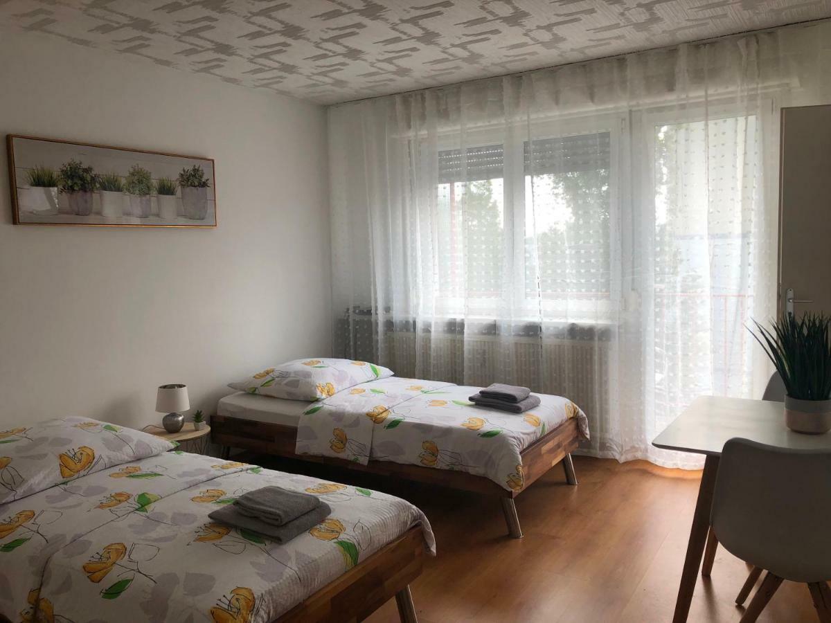 Studios Near Basel Airport Сен-Луи Экстерьер фото